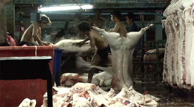 Father Joe and the Bangkok Slaughterhouse – Trailer 4′
